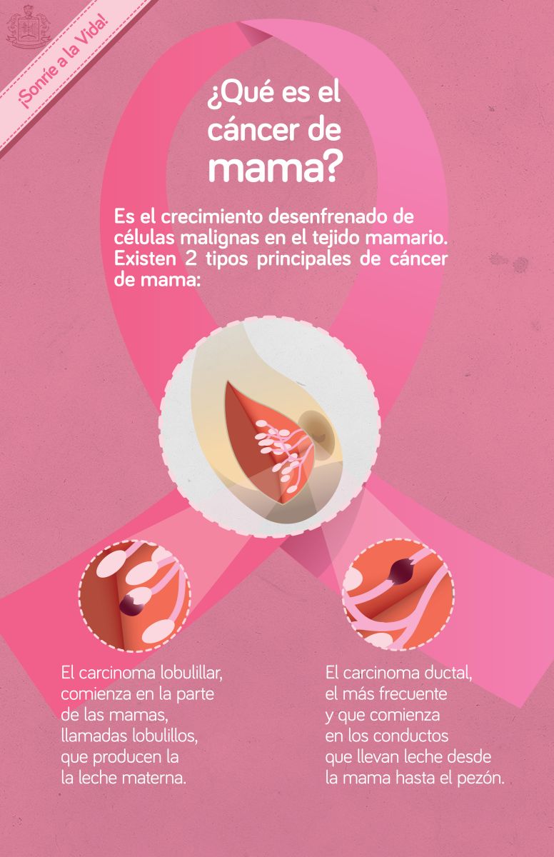 Día Mundial De La Lucha Contra El Cáncer De Mama Infografía