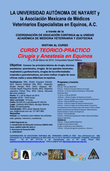 Curso teótico-práctico: Cirugía y anestesia en equinos