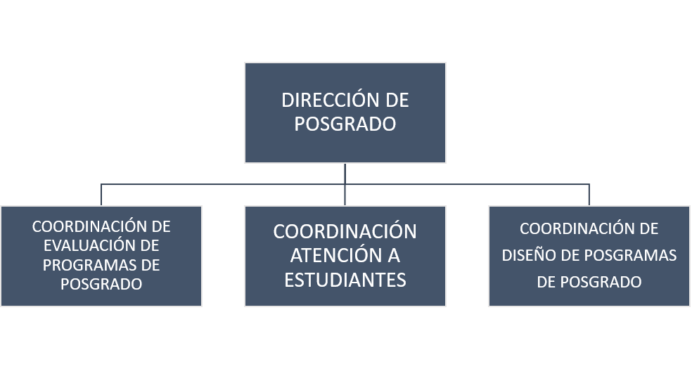 organigrama_20220909-100423592.png