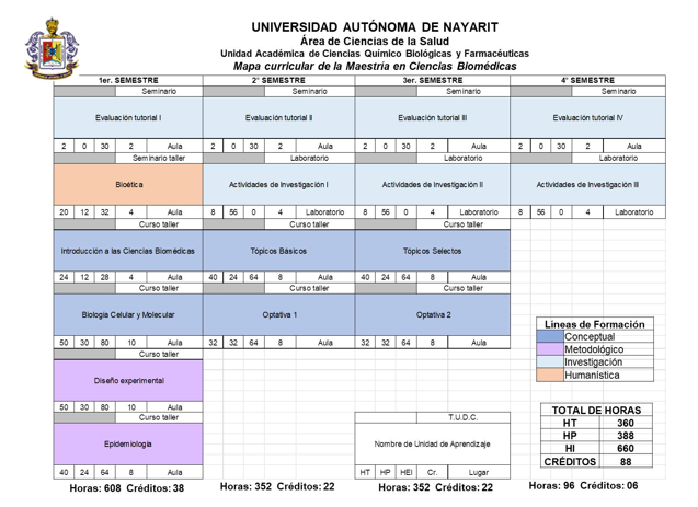 mapa_curricular.png