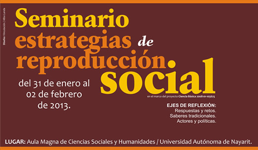 Seminario estrategias de reproducción social