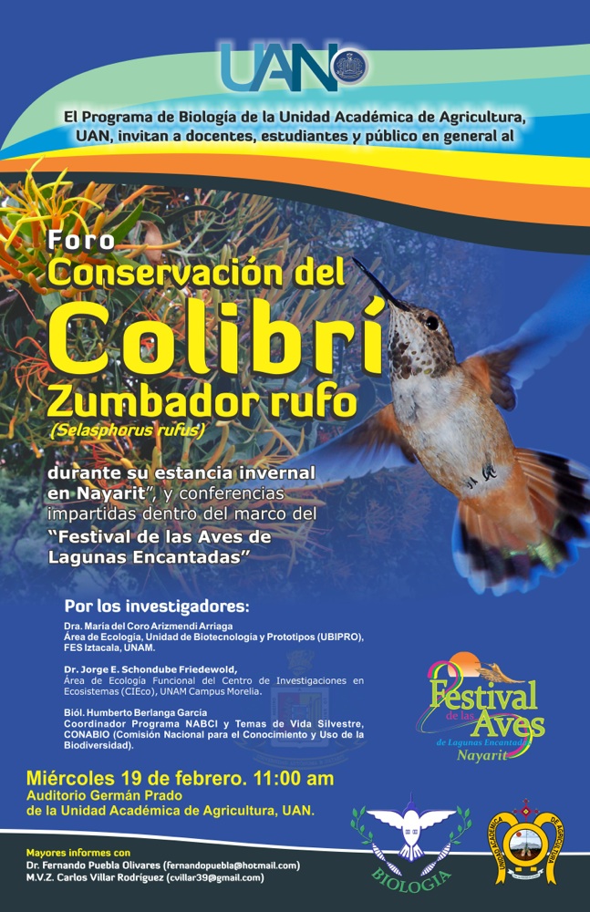 Foro Conservación de colibrí zumbador rufo