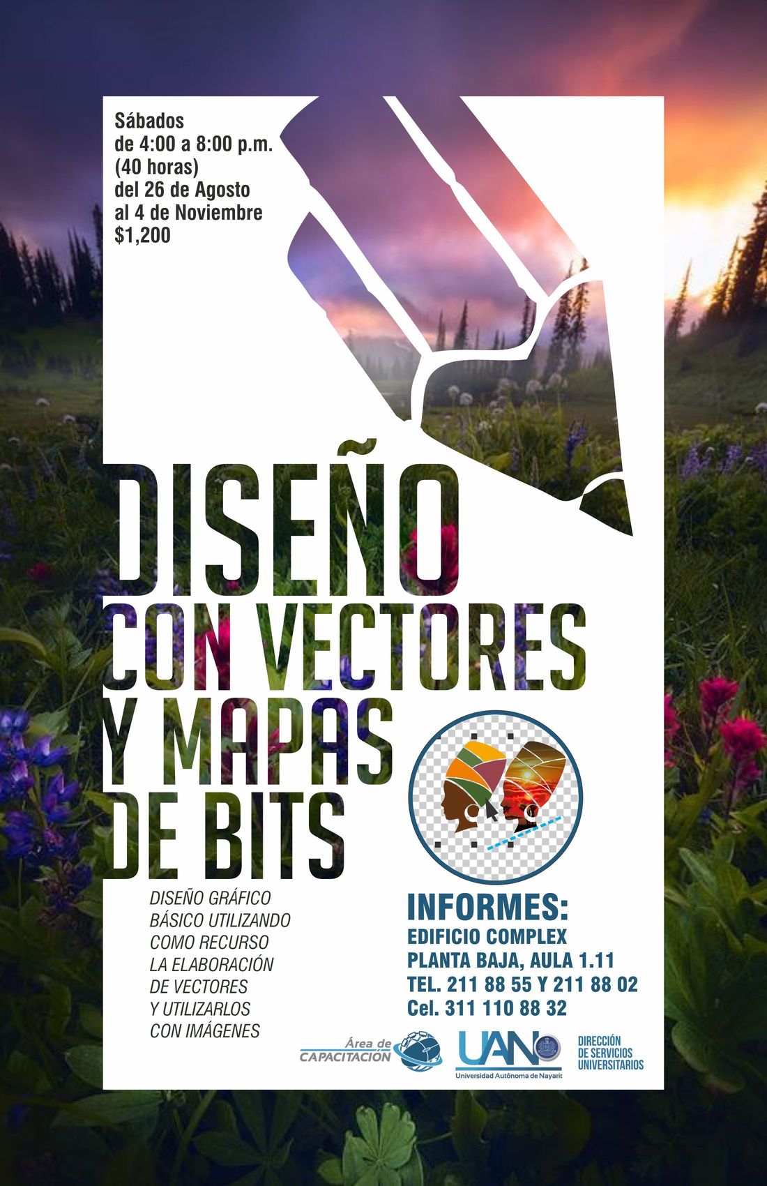 Diseño con vectores